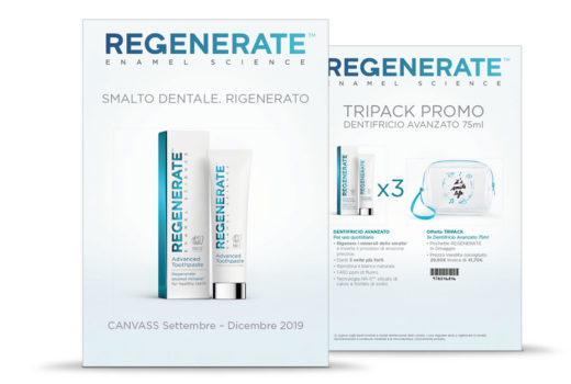 ’19 Regenerate Flyer Tripack