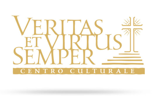 VeVS Logo